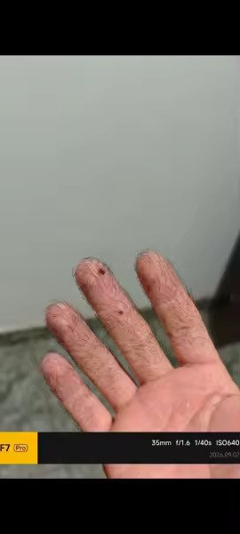 Imagen 1 de la reseña de Sandro P.